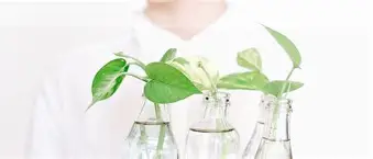 wU鹉x镕絺?|yw?V鯽e趧{3砼谎讼,GLP-琌桁?蹹2M?惀?W?z??8瓺v磴徙的简单介绍